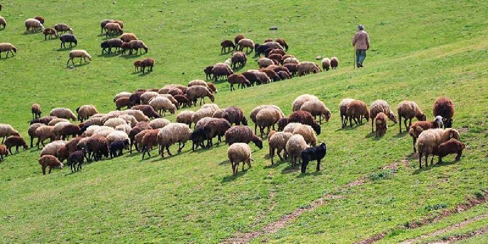 اعتراض به رای کمیسیون بند ۴۹ در دیوان عدالت اداری